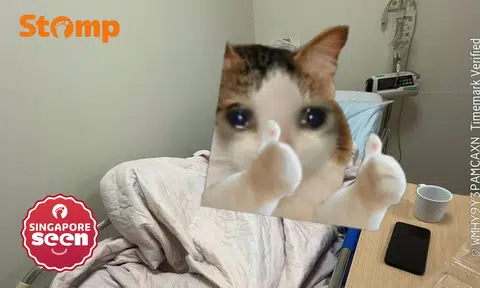 SFA taking enforcement action for non-compliances found at Singapore Bucket Biryani in Jurong West