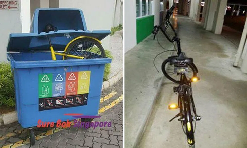 Photos: Love Cycling SG / Facebook