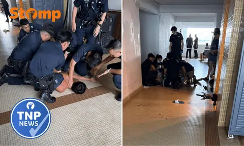 laguna park stabbing