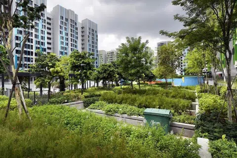 A three-room flat in Bidadari sold for $900,000 in December 2024.