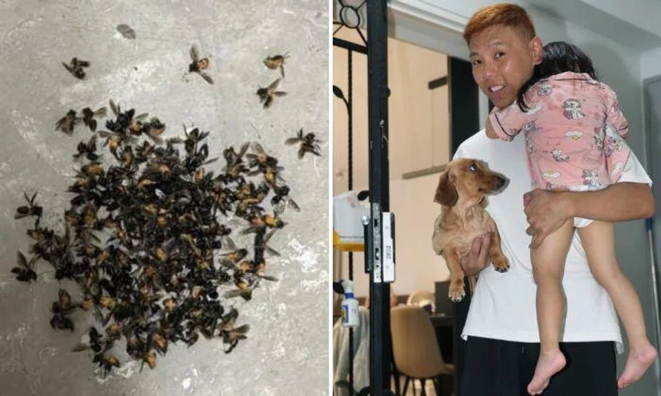 Mr Lin, who works in logistics, said he returned to his home on the 15th floor of Block 665 with his three-year-old daughter after having dinner at his fathers' place.