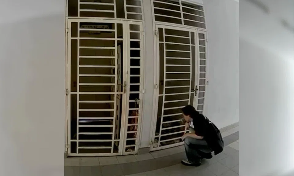 stalking, Malaysia, CCTV