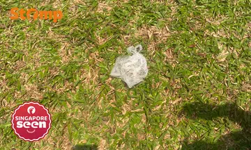 saliva bag incident, Serangoon playground, disgusting act
