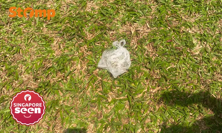 saliva bag incident, Serangoon playground, disgusting act