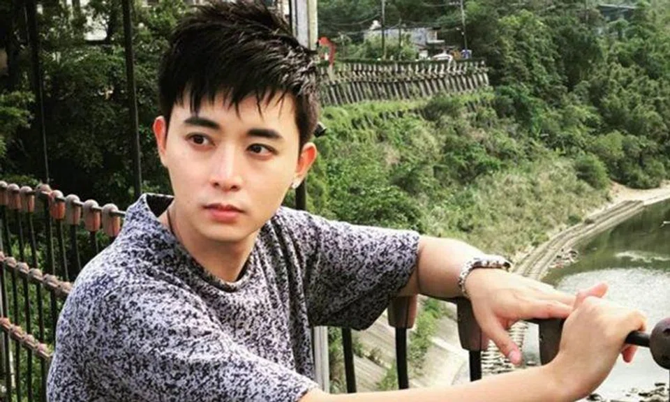 Aloysius Pang's death: No malfunction with gun-lowering mechanism, says Ng Eng Hen