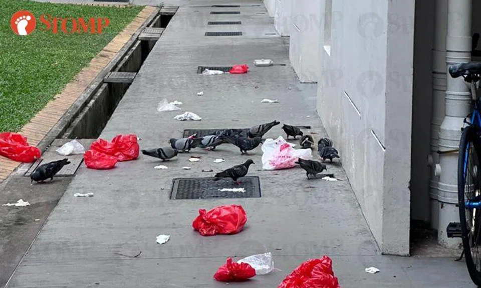High-rise litter attracting pigeons and rats at Woodlands block, CCTV cameras installed