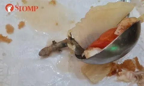 Diners discovered a lizard in the steamboat from a Punggol zi char stall.