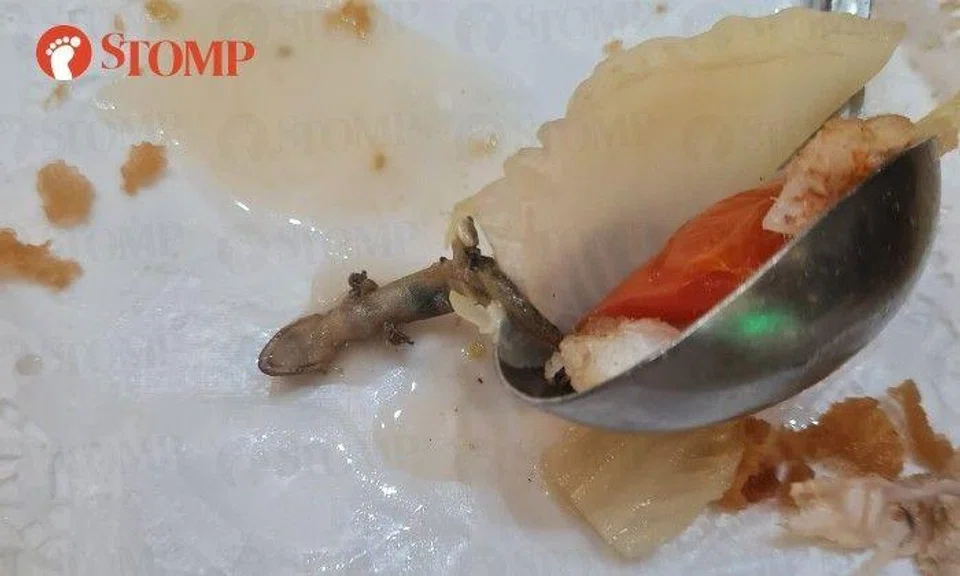 Diners discovered a lizard in the steamboat from a Punggol zi char stall.