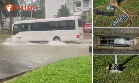 Vehicle plates 'nicely placed' at side of Balmoral Road after flash flood: 'Quite funny'