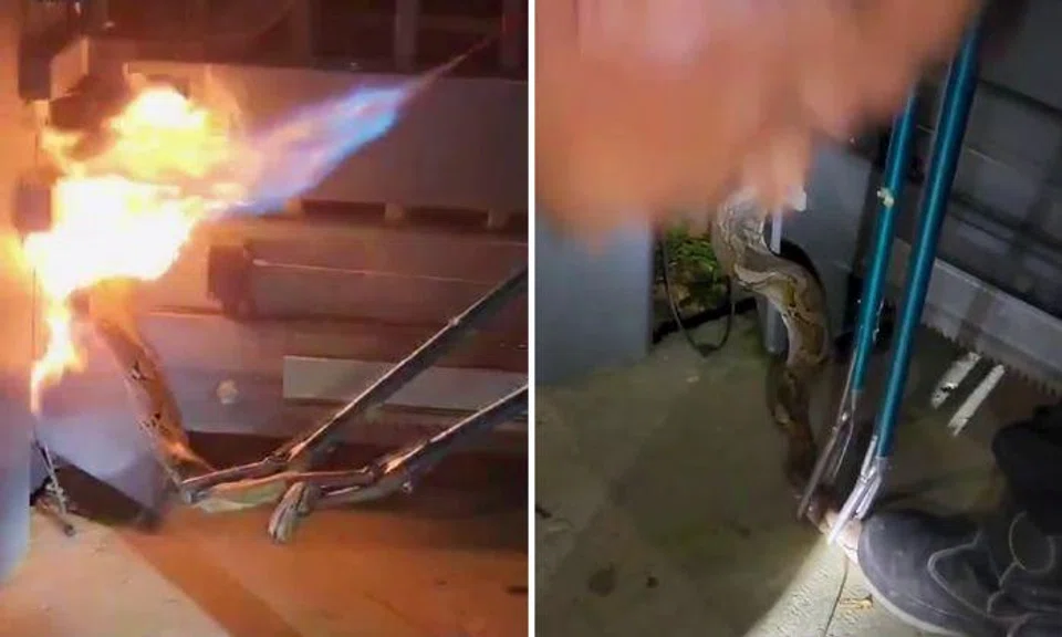 Python reportedly burned alive, gets stepped on while stuck in machinery