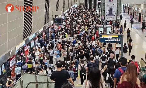 Trains 'moving slower than usual' due to signalling fault on Circle Line during morning rush hour