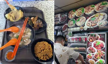 pig organ soup