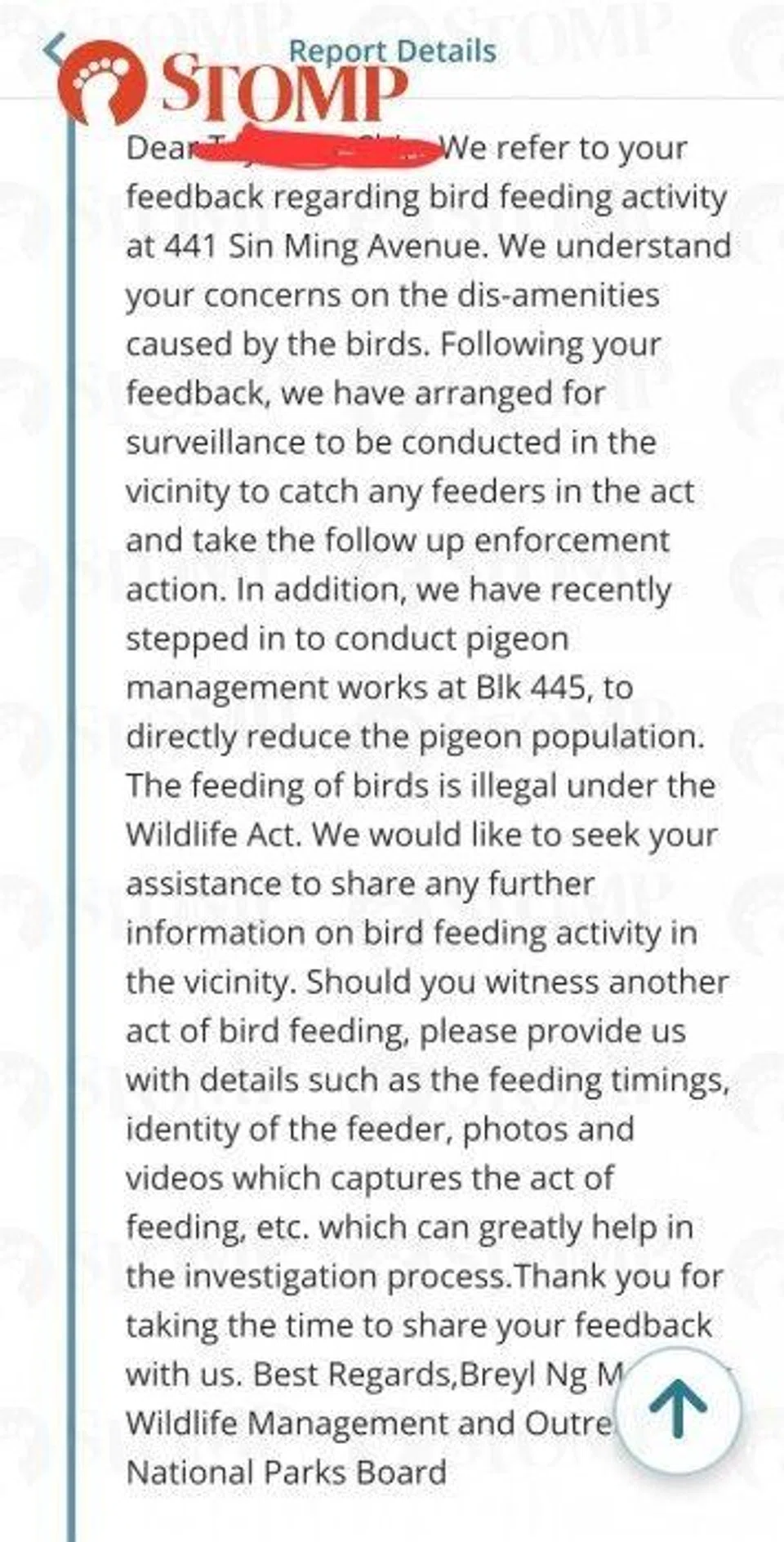 nparks' response to pigeon feeding report