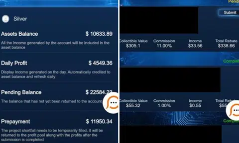 Offered 'commission' for Pokémon trading cards? At least $51,600 lost to such scams since Jan 1