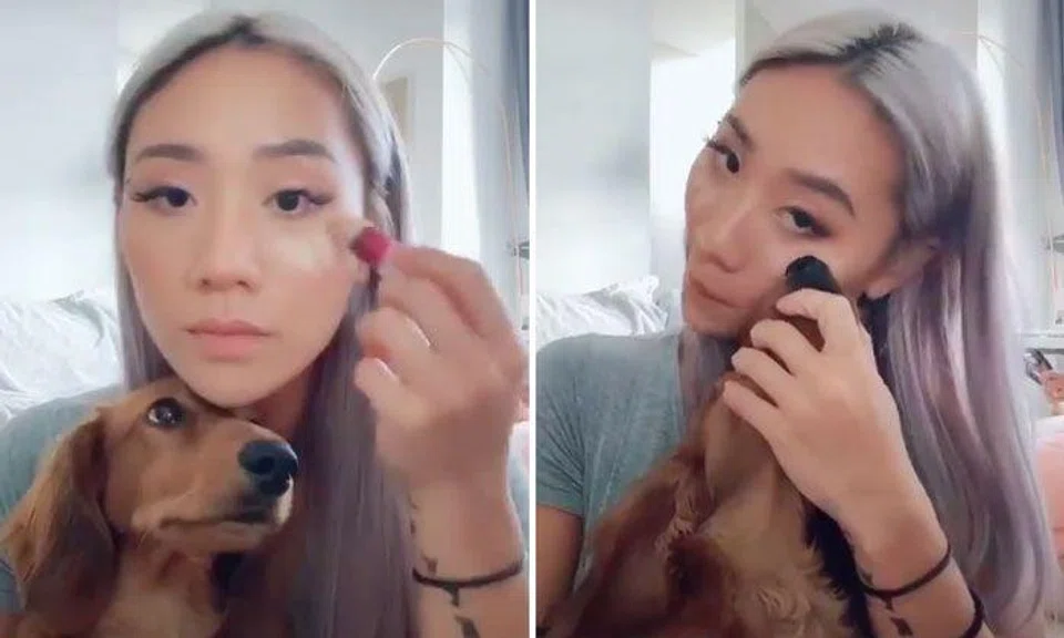 Sam Willows singer responds to backlash after using dog's nose to apply make-up: "He was a willing participant"