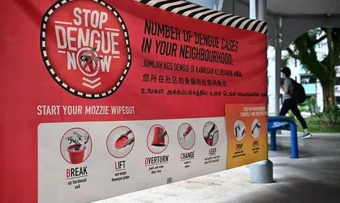 As at Jan 6, there are 14 active dengue clusters in Singapore.