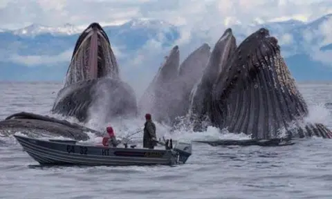 Good timing is everything in photos -- as proven by these well-taken images