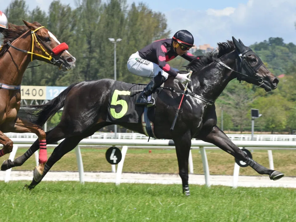 Valerie Pegasus has drawn attention with his sparkling form on the training track at Sungai Besi. Trainer Nick Selvan has entered the five-time winner in the Class 4B race over 1,100m in Kuala Lumpur on March 16.

