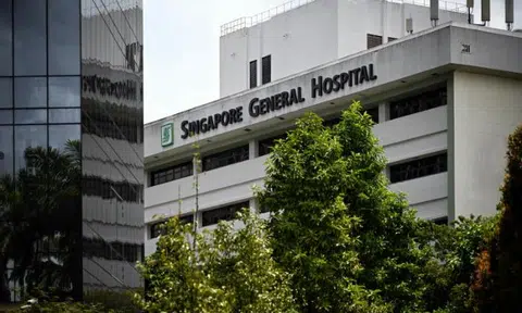 SGH doctor forged MCs to skip work on 2 days due to 'personal stress', now suspended for 3 years