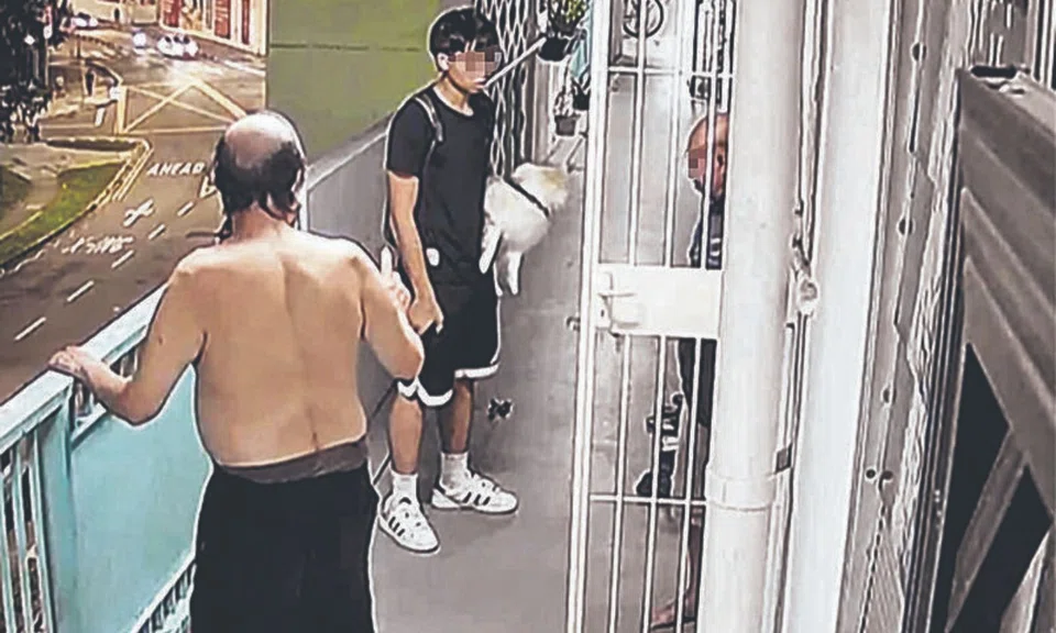 dog defecates outside havelock resident’s home