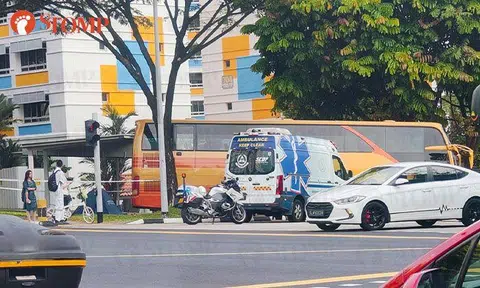 61-year-old cyclist dies in accident at Pioneer Road North, 44-year-old bus driver arrested