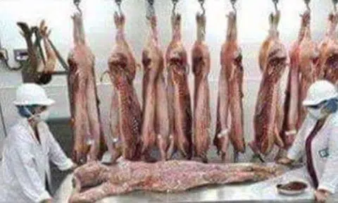 Viral hoax: China denies it is marinating dead bodies to sell in cans at African supermarkets