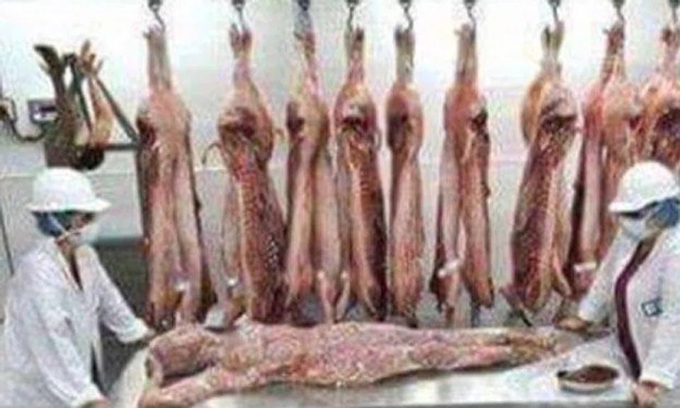 Viral hoax: China denies it is marinating dead bodies to sell in cans at African supermarkets