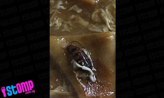 Gross! Diner finds cockroach in sliced fish hor fun at Old Airport Rd ...