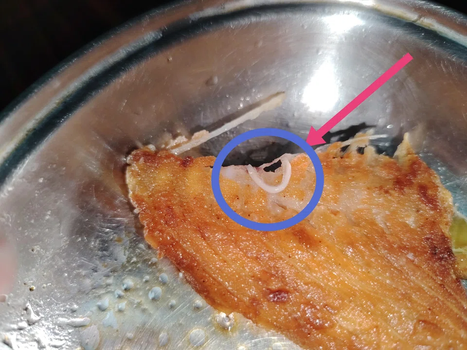 A woman said she found a 6.5cm-long worm in a piece of salmon she bought from FairPrice on Aug 12.