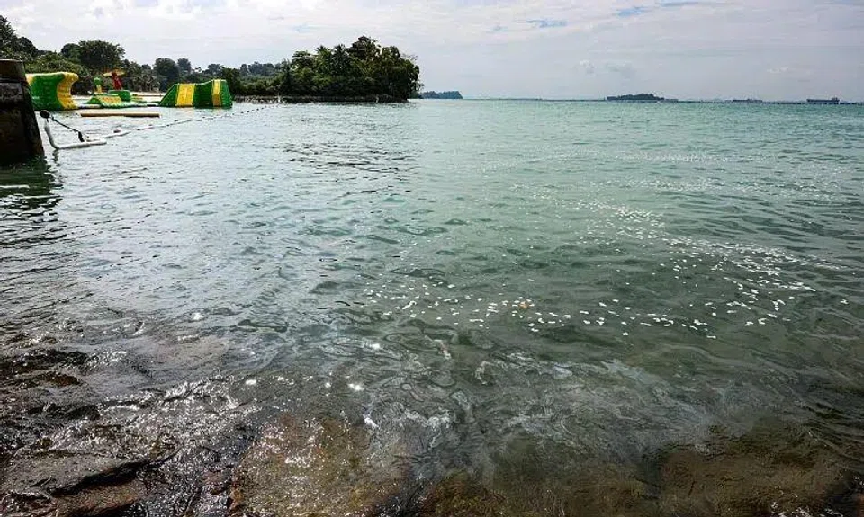 PUB is continuing to monitor seawater intakes at its desalination plants, with seawater quality readings remaining normal.