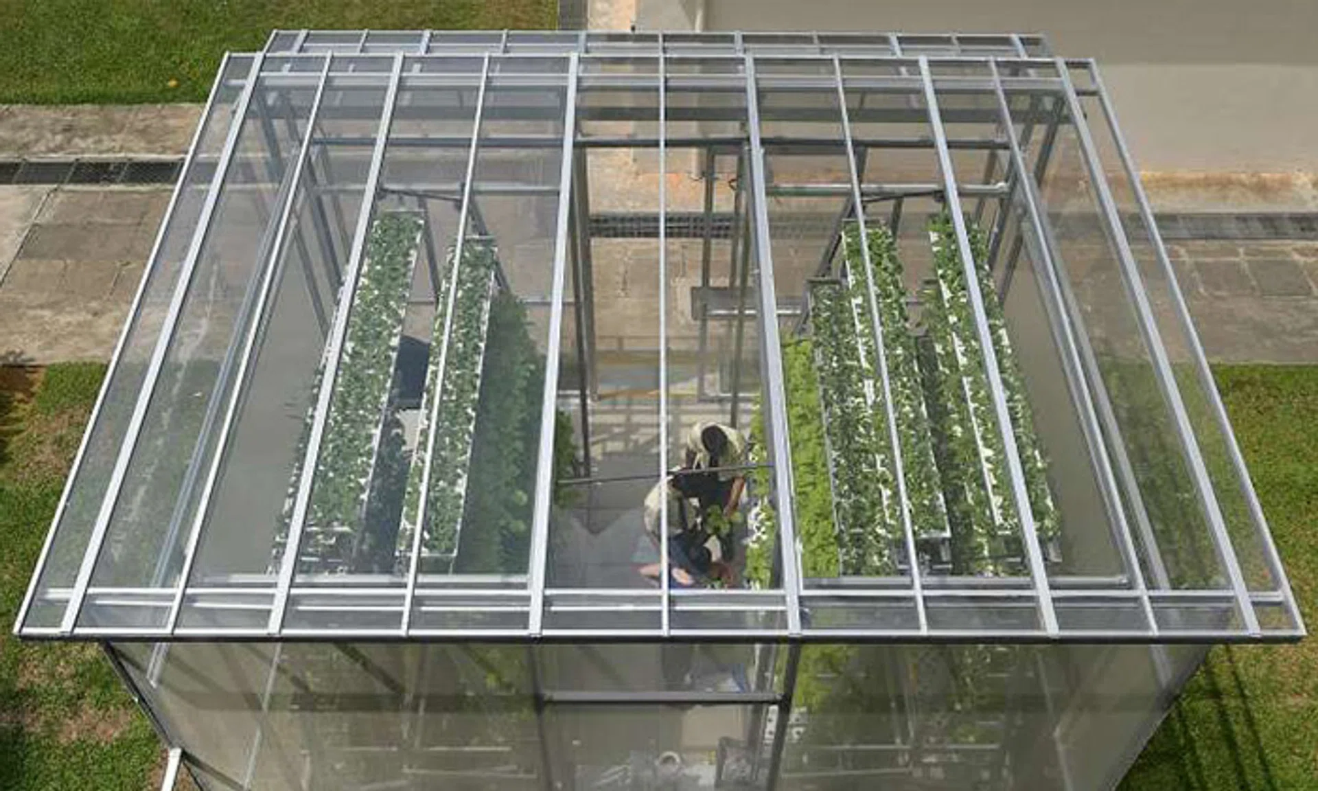 marsilingsecsch.jpg?w=965