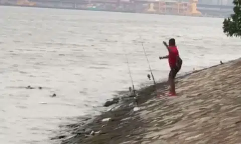Angler caught on video throwing rocks at family of otters at Punggol Waterfront