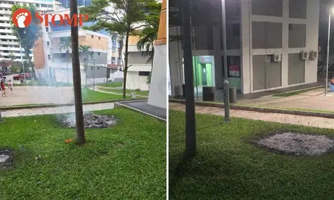 Burnt offerings on grass in Serangoon North Avenue 1
