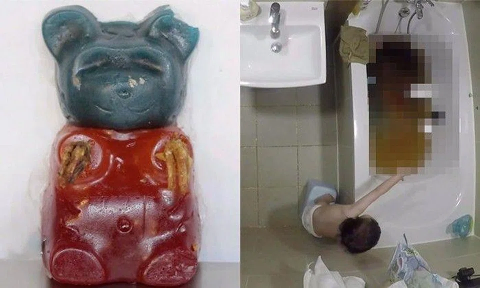 Boy tries to take care of new gummy bear pet -- but it turns into this instead