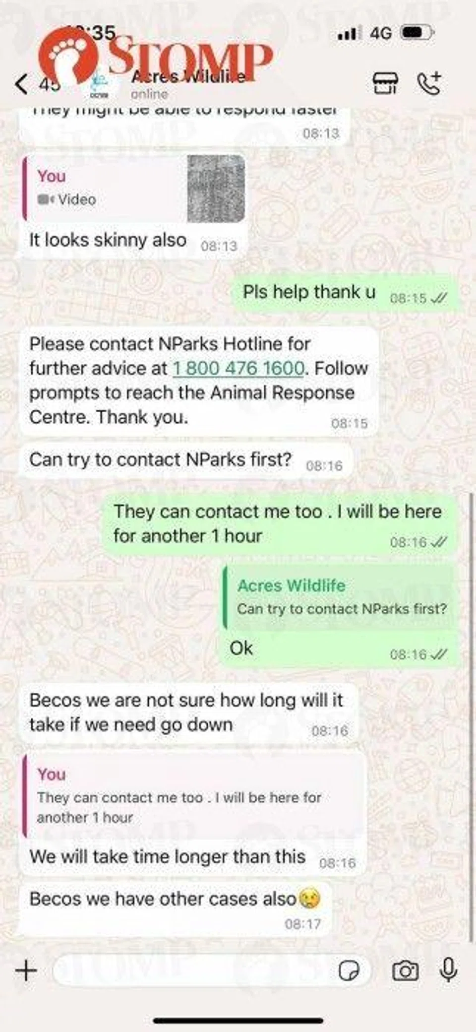 acres whatsapp hotline