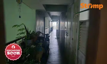 Woodlands Drive corridor plunged into darkness over CNY, town council cites faulty lights