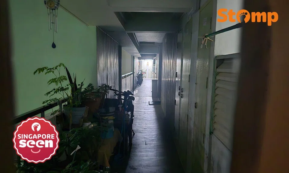 "Can barely see where you're walking," said Stomper Mau.