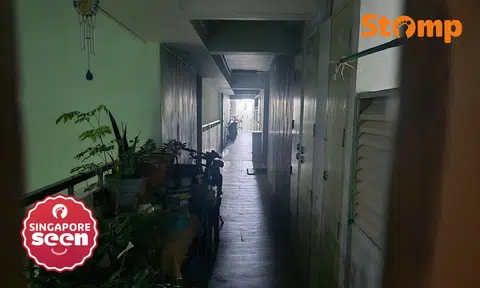 Woodlands Drive corridor plunged into darkness over CNY, town council cites faulty lights