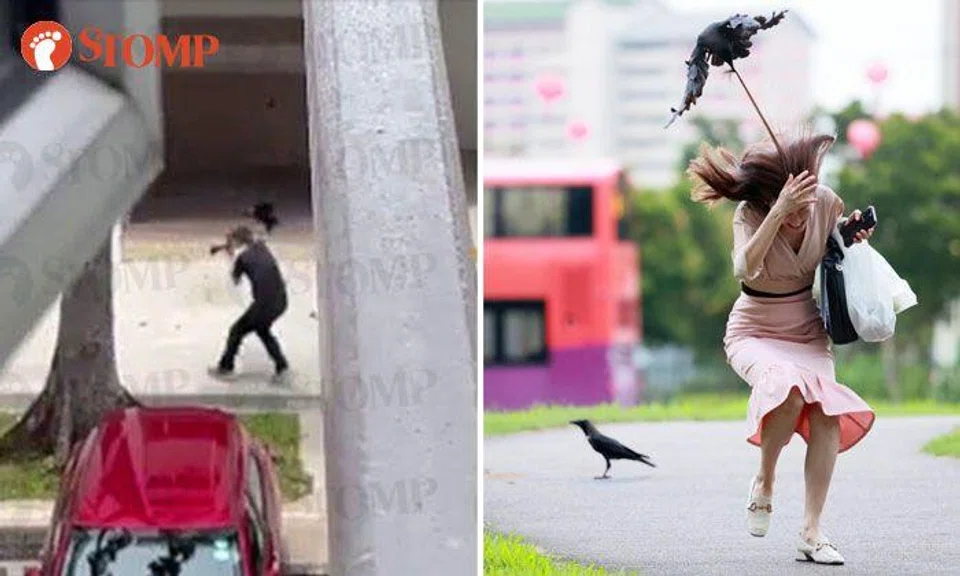 PHOTOS: STOMP, SHIN MIN DAILY NEWS