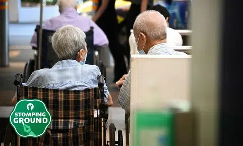 Singapore ageing population