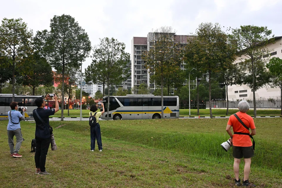 Bird enthusiasts and nature photographers have been all a-twitter to see the spectacular swirling flocks of daurian starlings sweeping across the skies in Woodlands in the evenings. ST PHOTO: LIM YAOHUI