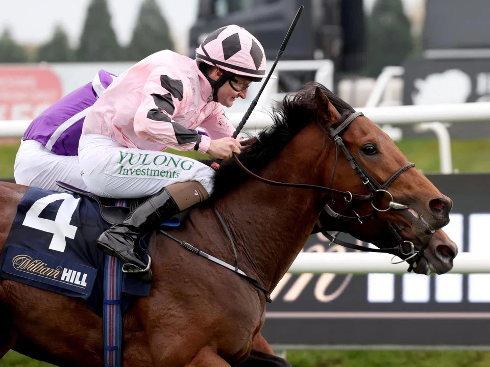 Hotazhell (Shane Foley) gaining the verdict over Delacroix (Ryan Moore, obscured) by a nose in the Group 1 Futurity Trophy Stakes (1,600m) at Doncaster in UK on Oct 26. 