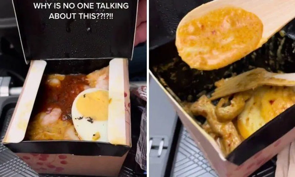 'Oh my god': Woman raves about laksa on Singapore Airlines flight, makes you very hungry
