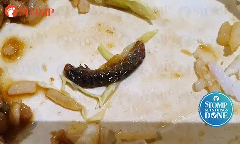 SFA to take enforcement action against Thai food stall at Bedok after Stomper finds 'worm' in meal