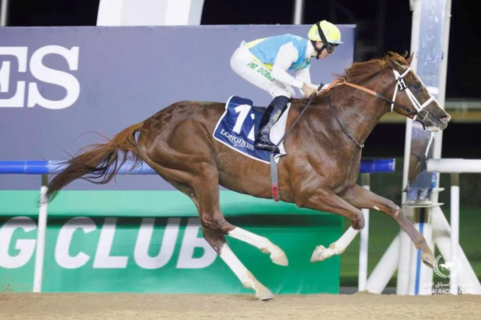The Doug Watson-trained Kabirkhan (Pat Dobbs) striding away to an easy win in the Group 1 Al Maktoum Challenge (1,800m) at Meydan on Jan 26, 2024.