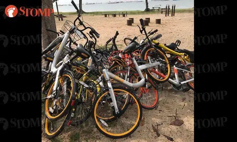 Seriously, if these bikes had feelings...