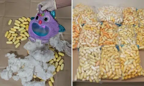 27kg of cocaine found hidden in stuffed toys in women's suitcases at Changi Airport, 5 arrested