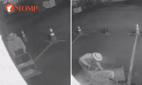 Man in hat uses trolley to steal 2 potted plants outside Bukit Timah shophouse at 2.30am