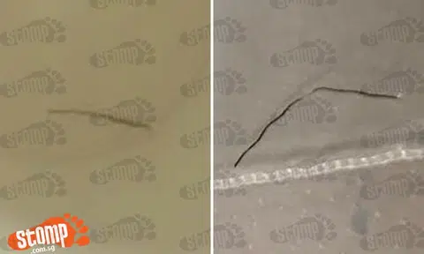 Man vomits blood after metal gets stuck at his throat while eating at Chinatown Point