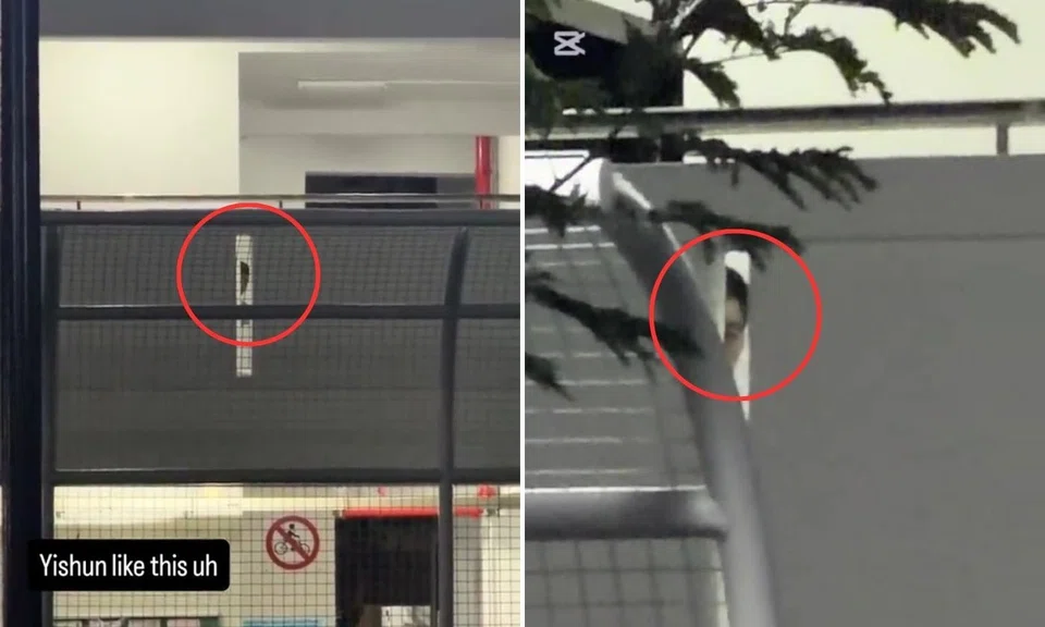 man peering through hdb wall in yishun